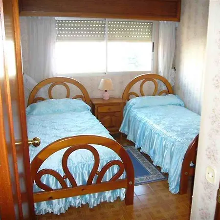 Palmeras Ii- Arena Benidorm